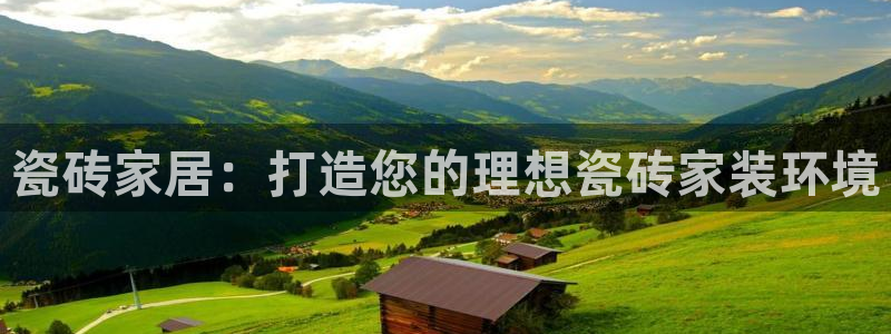 杏鑫平台代理注册流程图