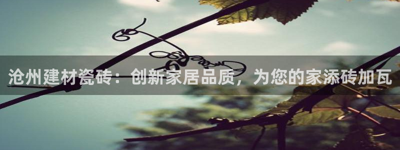 杏鑫平台下载安装