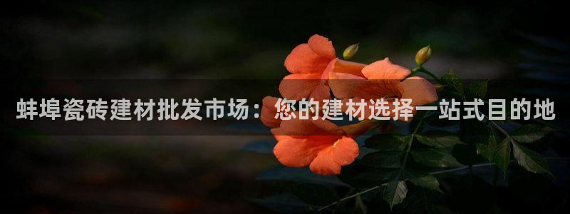 杏鑫官网注册账号密码