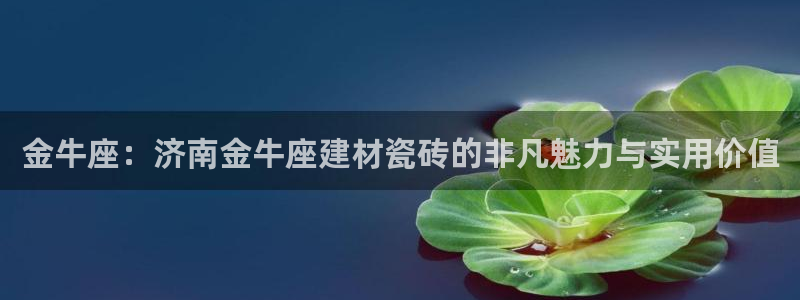 杏鑫官方平台怎么样啊